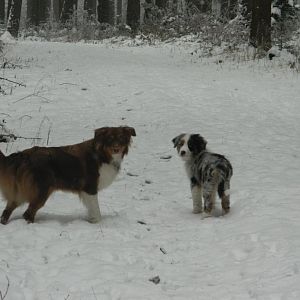 Schön sie warten auf Herrchen:) Wo bleibt denn der wieder.. hehe