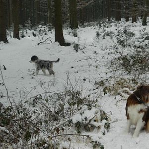 Stella fragt sich grad wo der kleine hin ist:o)