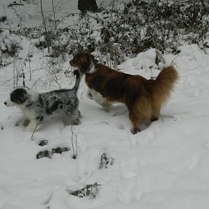 Es ist soooo schön im wald..