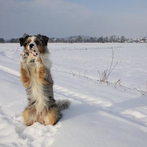 Winter ist tooooll!!