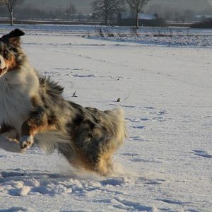 Winter ist tooooll!!