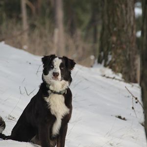 Jenna im Winter 2013