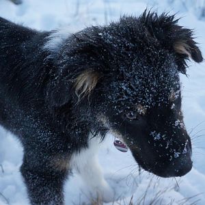 schnee ist soooo klasse