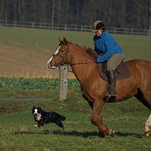 534813 306645952771516 1988097887 n