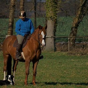 382196 306658886103556 1111488943 n