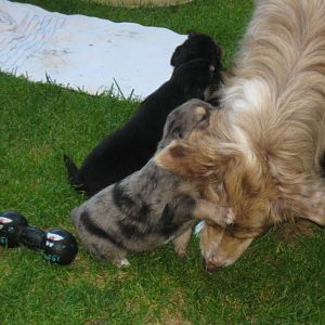 und mit ihren kleinen