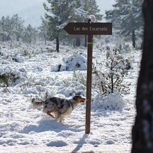 Amy, heute geht es mal in die andere Richtung ;)