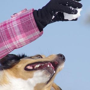 Amy, ich hole mir den Schneeball :)