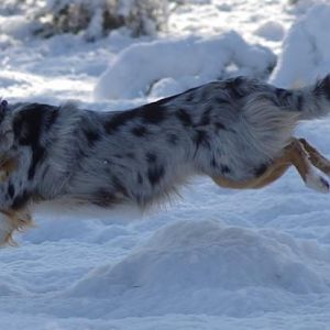 Amy, sprung und rüber