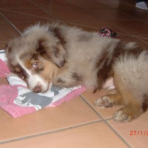 :DBalu am 2. Tag bei uns.