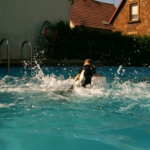 IMG00006