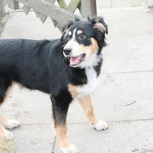 12.03.11 - 5 Monate alt