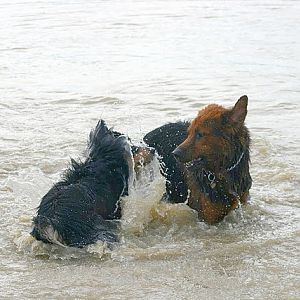 Im September beim Spielen