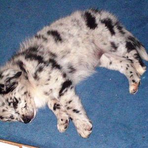 33820 186720758008087 100000104938608 763355 2083891 n