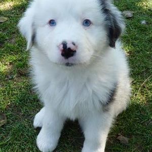 163180 186722008007962 100000104938608 763372 4780384 n