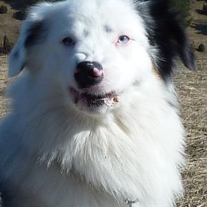 183688 205927136087449 100000104938608 923818 1816666 n