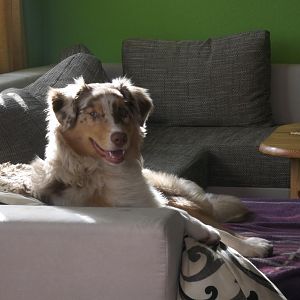 Schön auf der couch entspannen