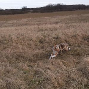 sie bei ihrer lieblingsbeschäftigung