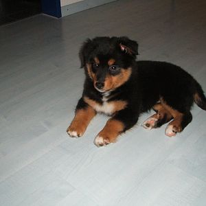 DSCF4513
Am 1. Tag im neuen Heim