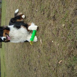 Jon Boy Geburtstag 014