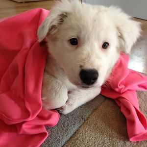 nach ner halben stunde wasserschlacht: erst abtrocknen lassen (und dann noch im handtuch eingemuckelt einschlafen :)