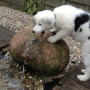 kann ich da reinbeißen?