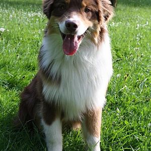 hpIMG 2861
unser baby mit 7 monaten