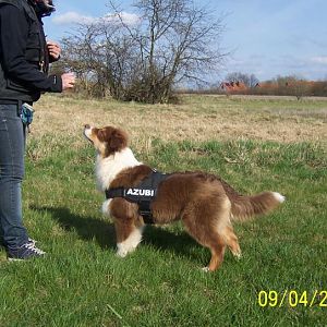 Dancer mit nem halben jahr