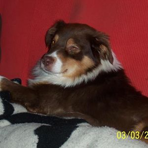 und so sieht der bub heute aus auf dem lieblingsplatz couch