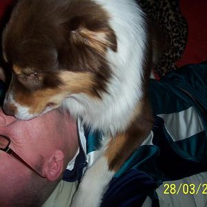 so sieht ne knutschattacke auf herrchen aus