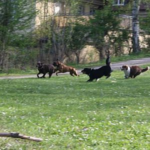 mit fast 10 lauf ich euch immer noch davon