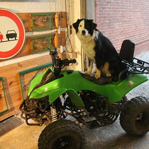 Bounty macht gerade den Führeschein...