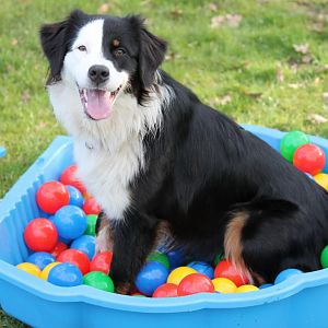 Sie liebt ihr Bällebad