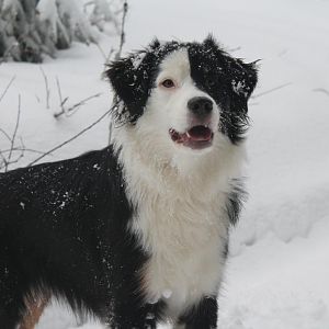 Das erste mal im Schnee