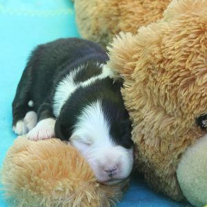 Einfach zum knutschen :)