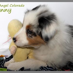 18 03 12 (77)B2klein