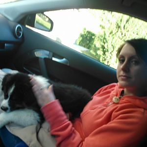 Schönster Tag im Jahr 2012 - Abholung Filou am 30.08.2012 (7:00 Uhr FRÜH!!!)