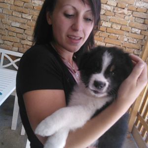 Filou besuchen :-) - da war er noch soo klein