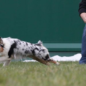 Ich flitze schon mal los , ok ?