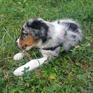 20120830 171239   Kopie