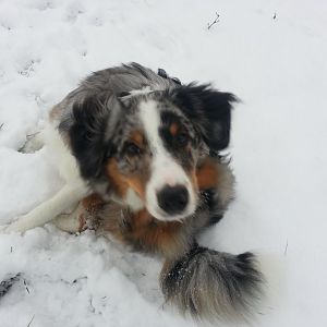 20130118 162224   Kopie