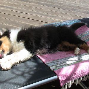 war das anstrengend