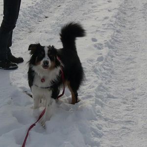 schön Schnee