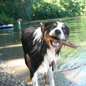 baden ist so cool