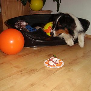 DSC03172