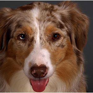 Manchmal sogar schön :-)