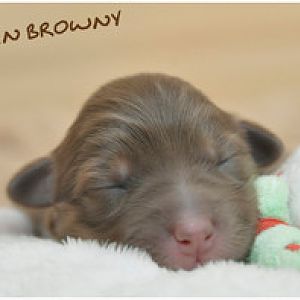 red sin Nala 1. Woche