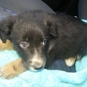 24.02.2013 nun machen wir uns auf den langen Weg ins neue zu Hause :-)