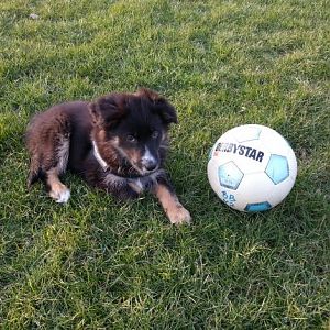 26.03.2013 Bälle sind sooo toll