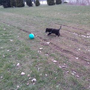 25.03.2012 Personaltrainer für Söhnchen